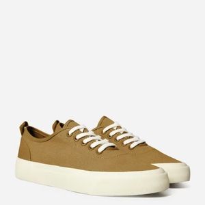 Everlane The Forever Sneaker